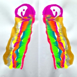 Rainbow Octopus